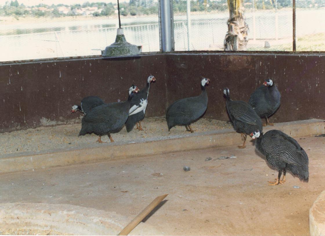 Registro social do acervo ASSEFE